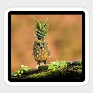 Pineapple Owl Sticker
